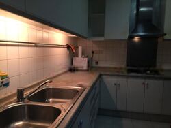 Edelweiss Park Condominium (D17), Condominium #412834451